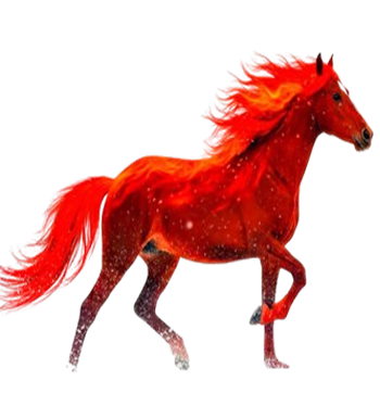 Kuda